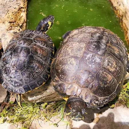 Prázdninový dům Il Giardino Dei Sospiri Ragusa