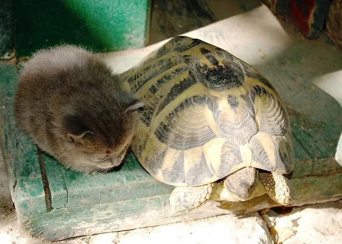 Il Giardino Dei Sospiri Ragusa