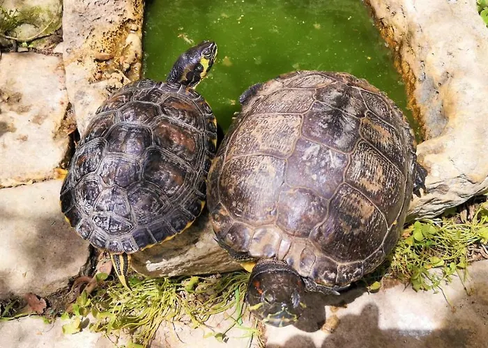 Dom wakacyjny Il Giardino Dei Sospiri Ragusa