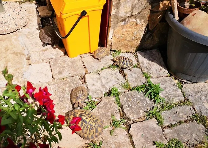 Dom wakacyjny Il Giardino Dei Sospiri Ragusa